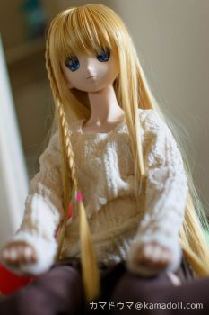 廊下でドルフィードリームDDH-06子の座っている様子を下から写した写真