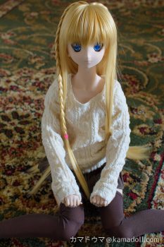 廊下でドルフィードリームDDH-06子が座っている様子をやや上から写した写真